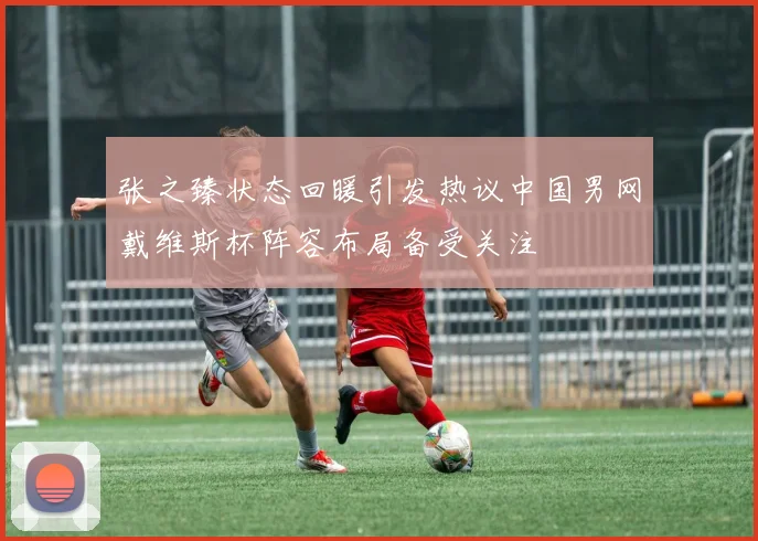 张之臻状态回暖引发热议中国男网戴维斯杯阵容布局备受关注
