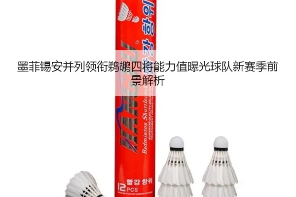 墨菲锡安并列领衔鹈鹕四将能力值曝光球队新赛季前景解析
